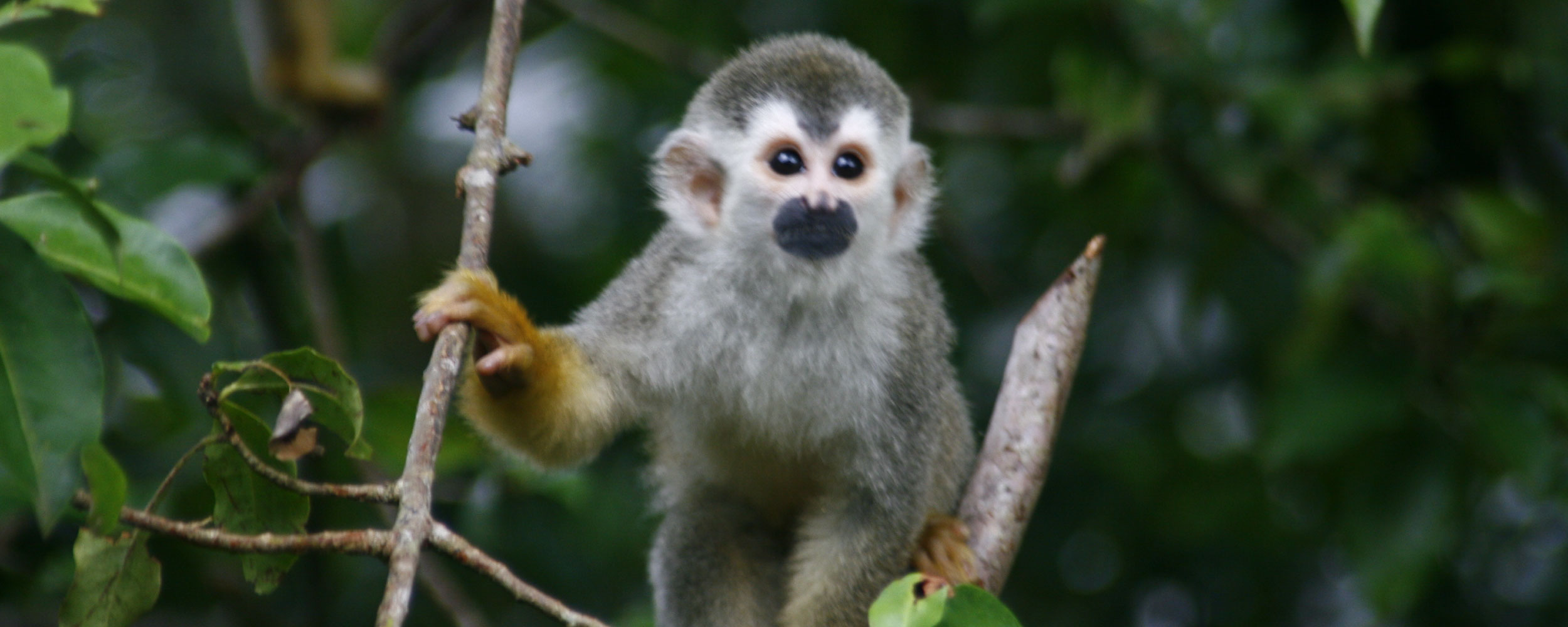 el mejor destino de vida salvaje