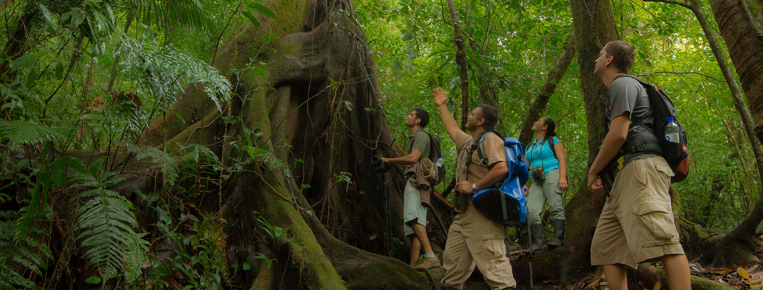 Reserva de Monteverde