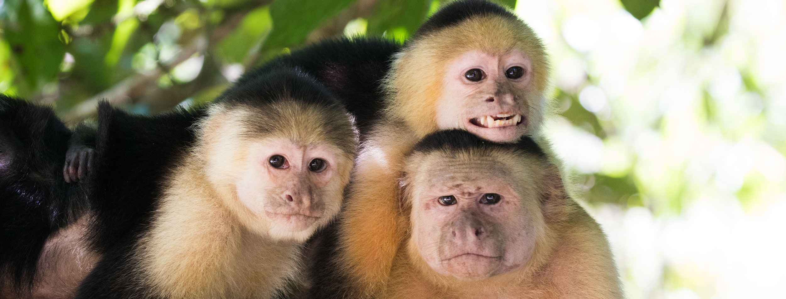 Reserva de Santa Elena