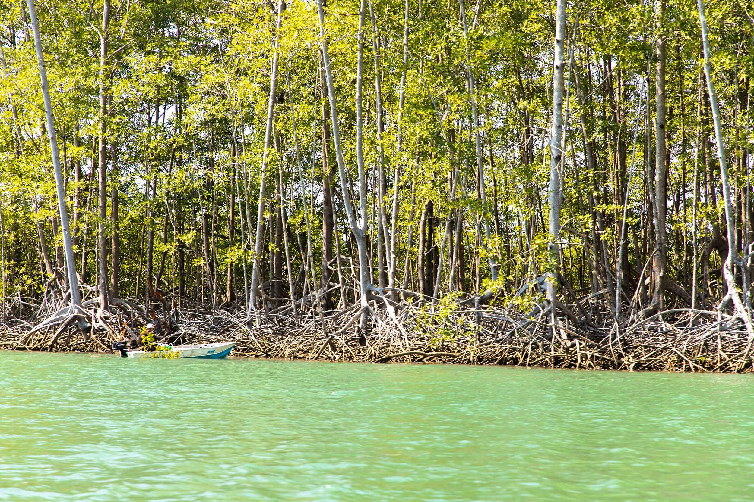 Tour en Barco por Isla Damas
