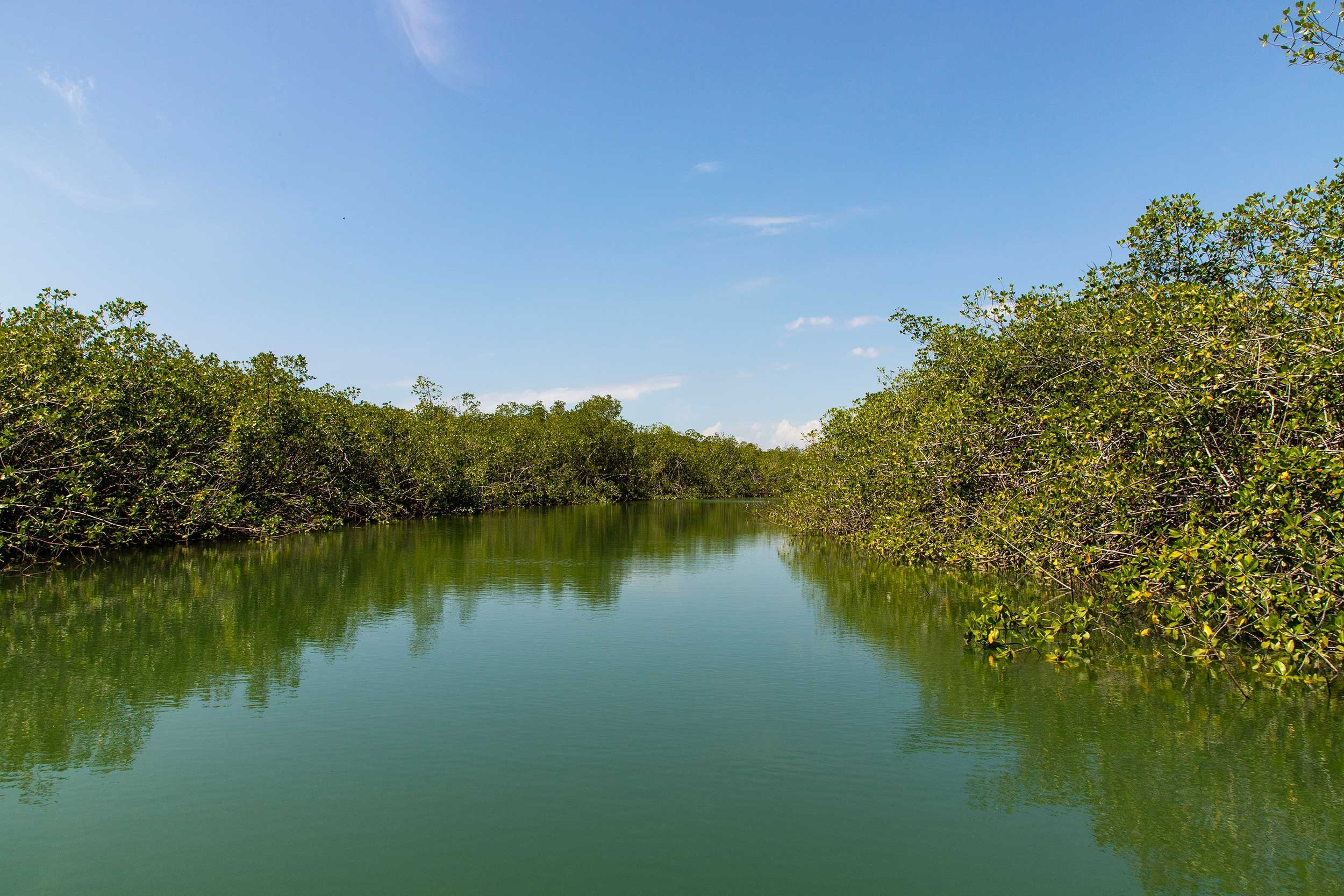 Tour en Barco por Isla Damas
