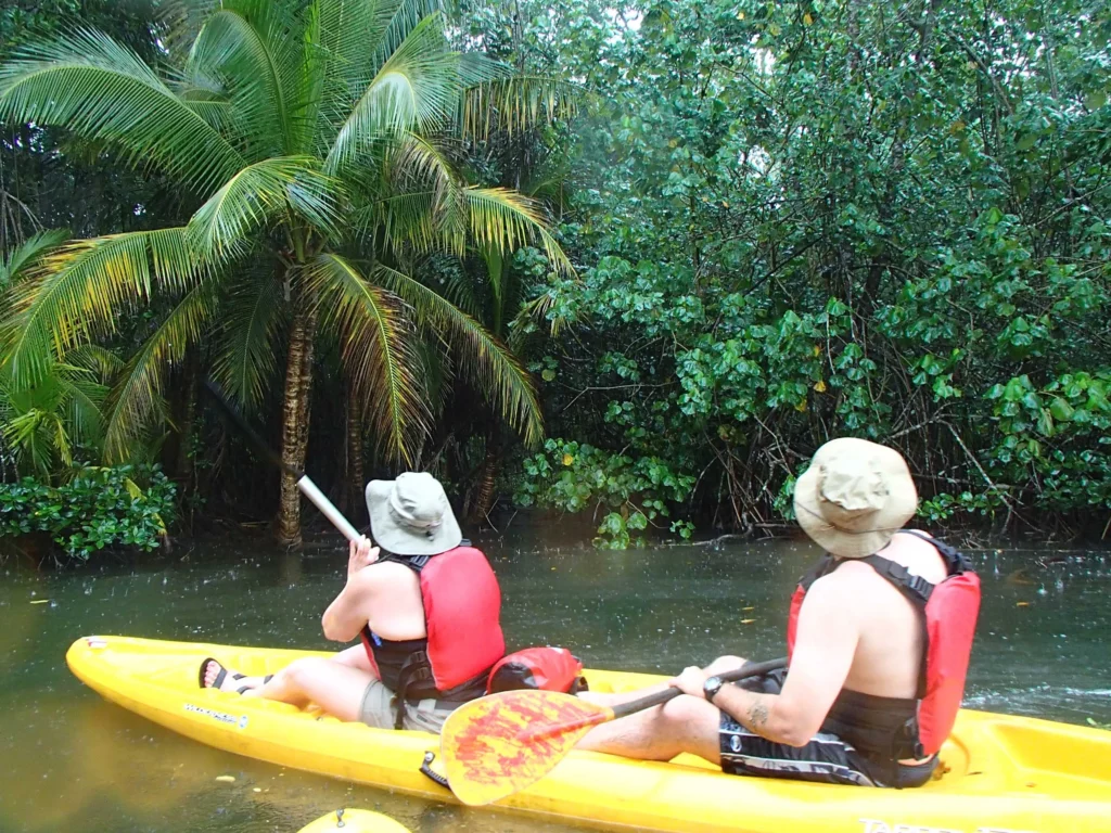 Safari en Bote Único en el Río Frío de Caño Negro