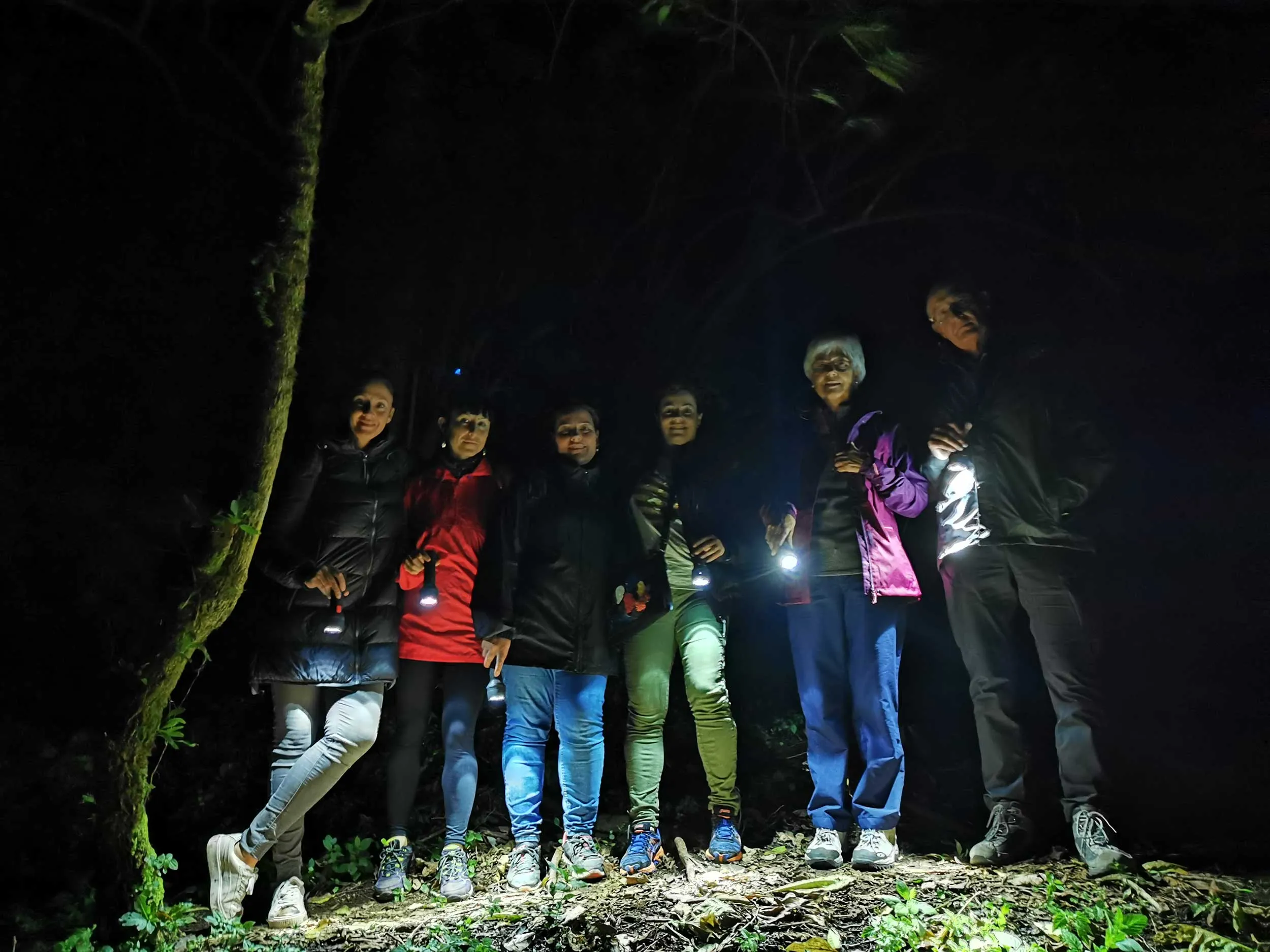 Caminata Nocturna para Observar la Vida Silvestre