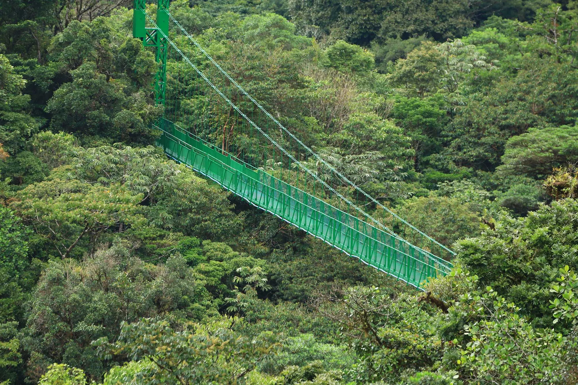 Paquete Oro: Canopy + Puentes Colgantes