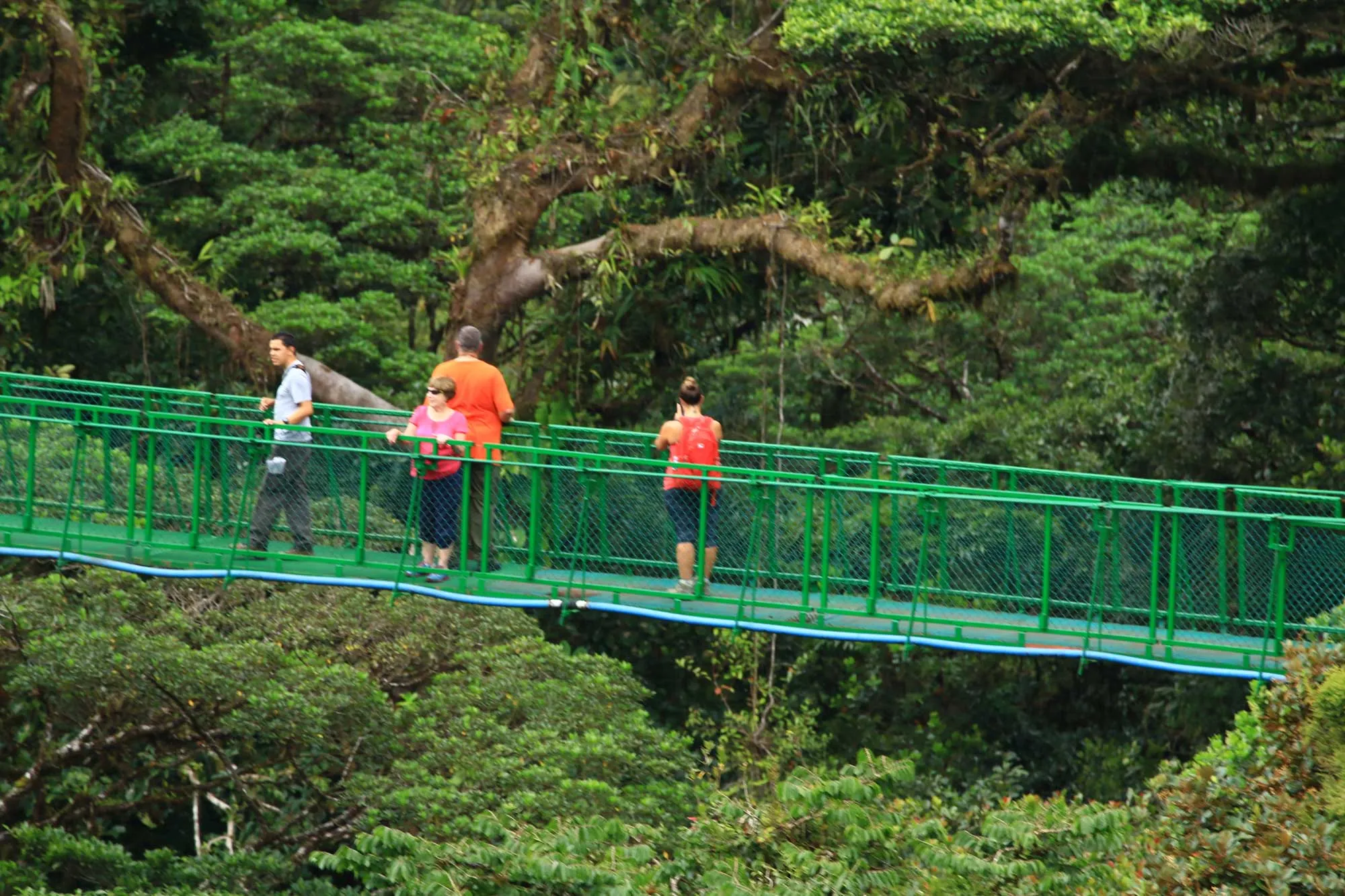 Paquete Oro: Canopy + Puentes Colgantes